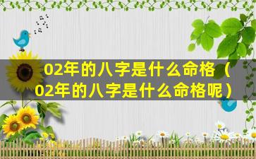 02年的八字是什么命格（02年的八字是什么命格呢）