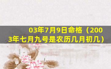 03年7月9日命格（2003年七月九号是农历几月初几）