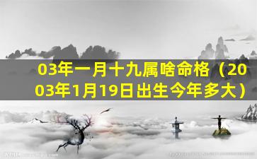 03年一月十九属啥命格（2003年1月19日出生今年多大）