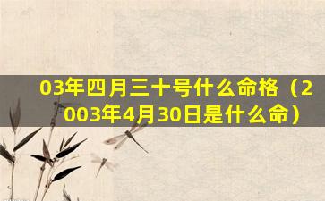 03年四月三十号什么命格（2003年4月30日是什么命）