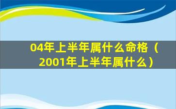 04年上半年属什么命格（2001年上半年属什么）