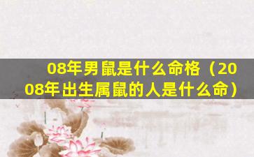 08年男鼠是什么命格（2008年出生属鼠的人是什么命）