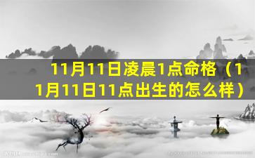 11月11日凌晨1点命格（11月11日11点出生的怎么样）