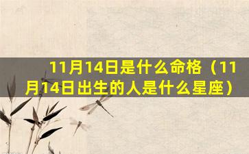 11月14日是什么命格（11月14日出生的人是什么星座）