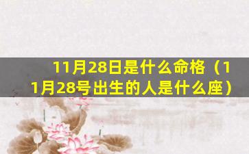 11月28日是什么命格（11月28号出生的人是什么座）