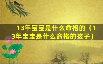 13年宝宝是什么命格的（13年宝宝是什么命格的孩子）