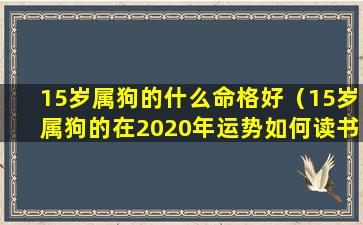 15岁属狗的什么命格好（15岁属狗的在2020年运势如何读书怎样）