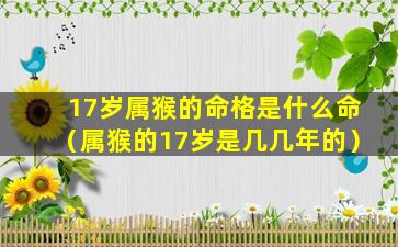 17岁属猴的命格是什么命（属猴的17岁是几几年的）