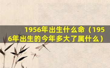 1956年出生什么命（1956年出生的今年多大了属什么）