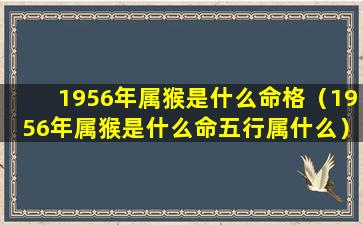 1956年属猴是什么命格（1956年属猴是什么命五行属什么）