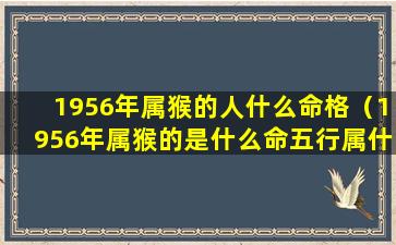 1956年属猴的人什么命格（1956年属猴的是什么命五行属什么）