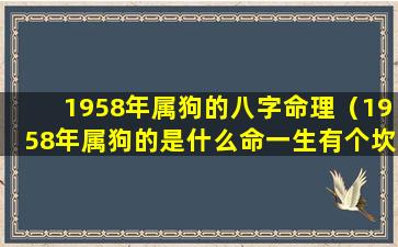 1958年属狗的八字命理（1958年属狗的是什么命一生有个坎儿）