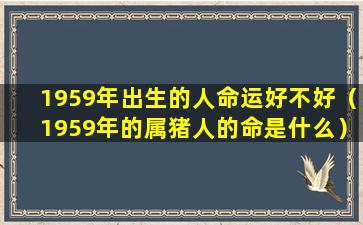 1959年出生的人命运好不好（1959年的属猪人的命是什么）