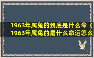 1963年属兔的到底是什么命（1963年属兔的是什么命运怎么样）