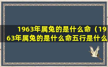 1963年属兔的是什么命（1963年属兔的是什么命五行是什么）