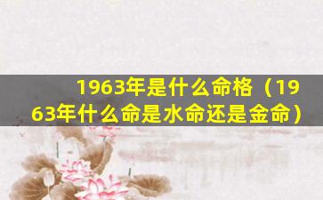 1963年是什么命格（1963年什么命是水命还是金命）