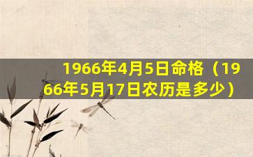 1966年4月5日命格（1966年5月17日农历是多少）