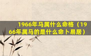 1966年马属什么命格（1966年属马的是什么命卜易居）