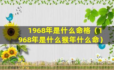 1968年是什么命格（1968年是什么猴年什么命）