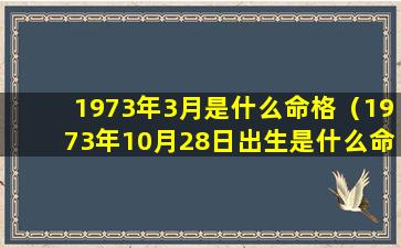 1973年3月是什么命格（1973年10月28日出生是什么命）