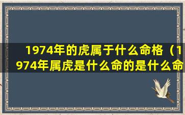 1974年的虎属于什么命格（1974年属虎是什么命的是什么命）