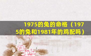 1975的兔的命格（1975的兔和1981年的鸡配吗）