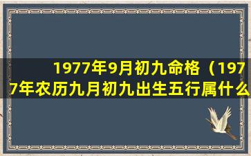 1977年9月初九命格（1977年农历九月初九出生五行属什么）