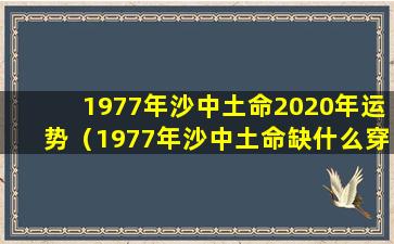 1977年沙中土命2020年运势（1977年沙中土命缺什么穿什么衣服好）