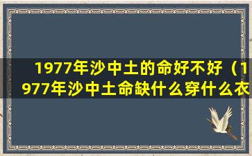 1977年沙中土的命好不好（1977年沙中土命缺什么穿什么衣服好）