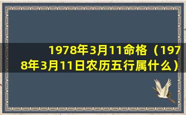 1978年3月11命格（1978年3月11日农历五行属什么）