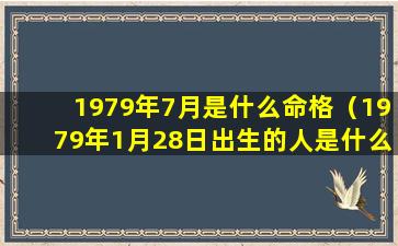 1979年7月是什么命格（1979年1月28日出生的人是什么命）