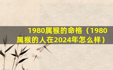 1980属猴的命格（1980属猴的人在2024年怎么样）