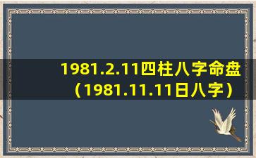 1981.2.11四柱八字命盘（1981.11.11日八字）