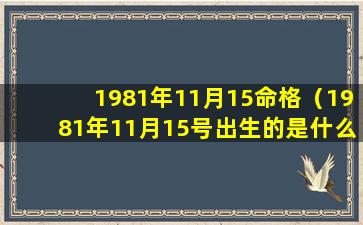 1981年11月15命格（1981年11月15号出生的是什么星座）