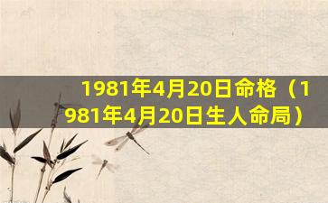 1981年4月20日命格（1981年4月20日生人命局）