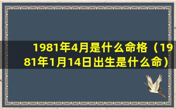 1981年4月是什么命格（1981年1月14日出生是什么命）