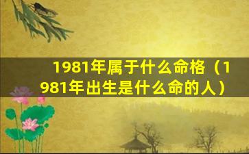 1981年属于什么命格（1981年出生是什么命的人）