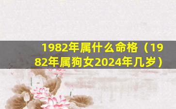 1982年属什么命格（1982年属狗女2024年几岁）