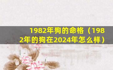 1982年狗的命格（1982年的狗在2024年怎么样）