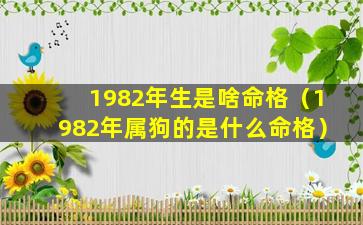 1982年生是啥命格（1982年属狗的是什么命格）