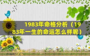 1983年命格分析（1983年一生的命运怎么样呢）