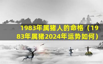 1983年属猪人的命格（1983年属猪2024年运势如何）