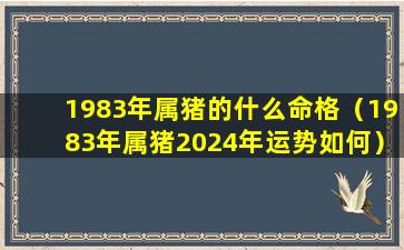 1983年属猪的什么命格（1983年属猪2024年运势如何）