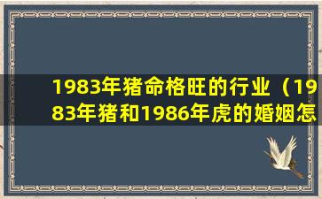 1983年猪命格旺的行业（1983年猪和1986年虎的婚姻怎么样）