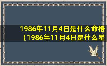 1986年11月4日是什么命格（1986年11月4日是什么星座阴历）