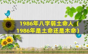 1986年八字弱土命人（1986年是土命还是木命）