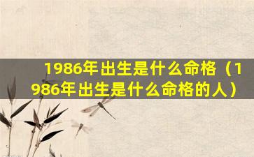 1986年出生是什么命格（1986年出生是什么命格的人）