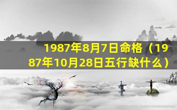 1987年8月7日命格（1987年10月28日五行缺什么）