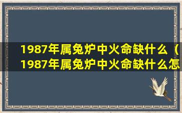 1987年属兔炉中火命缺什么（1987年属兔炉中火命缺什么怎么补）