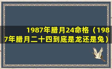 1987年腊月24命格（1987年腊月二十四到底是龙还是兔）